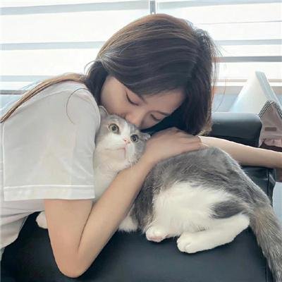杂家高手